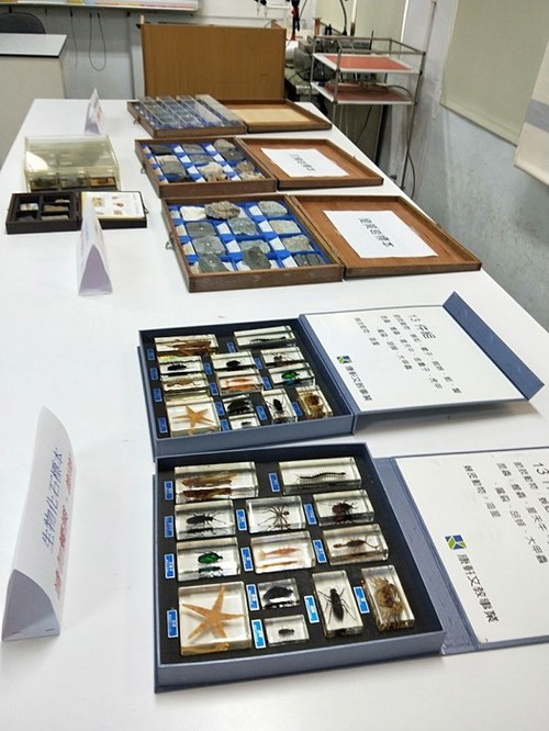 41週年校慶自然領域成果展_191128_0006