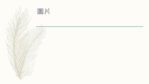 特殊傳說